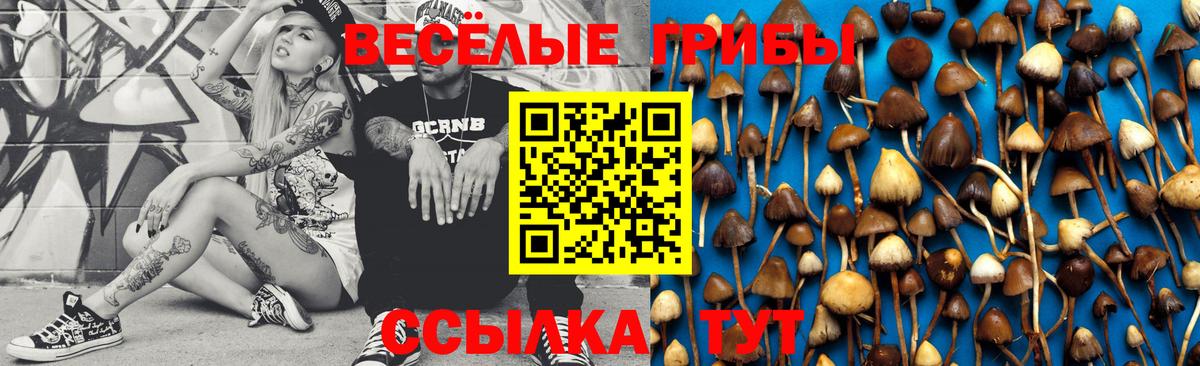 Узловая  Псилоцибиновые грибы Magic Shrooms  Вход с VPN 